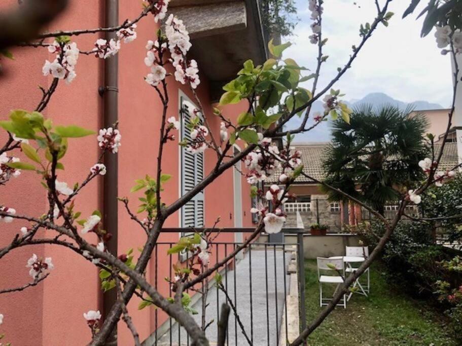 Giuditta Freecarpark&Garden Domodossola Zewnętrze zdjęcie