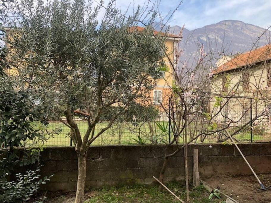 Giuditta Freecarpark&Garden Domodossola Zewnętrze zdjęcie
