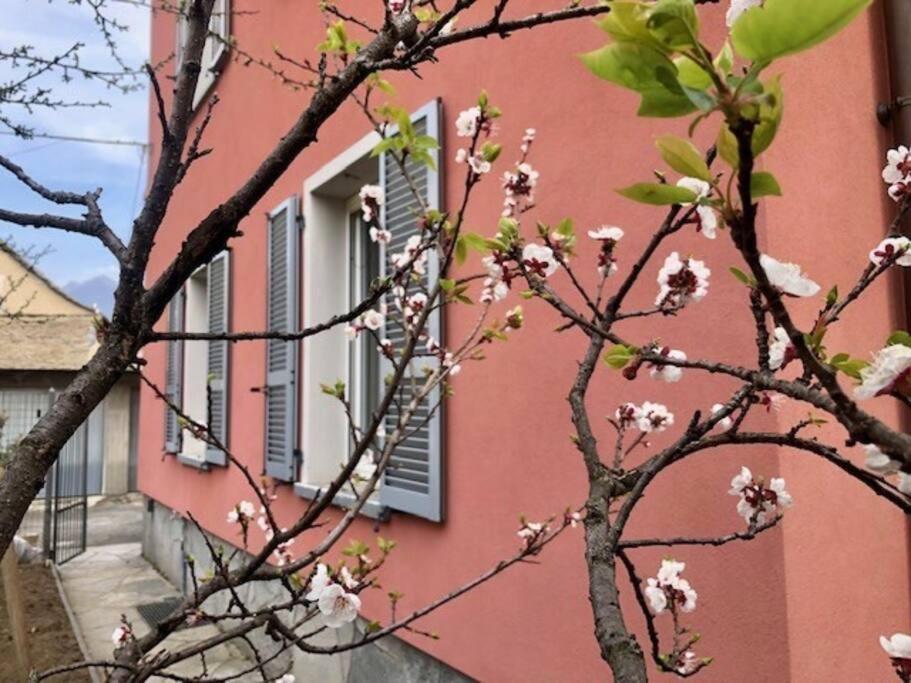 Giuditta Freecarpark&Garden Domodossola Zewnętrze zdjęcie