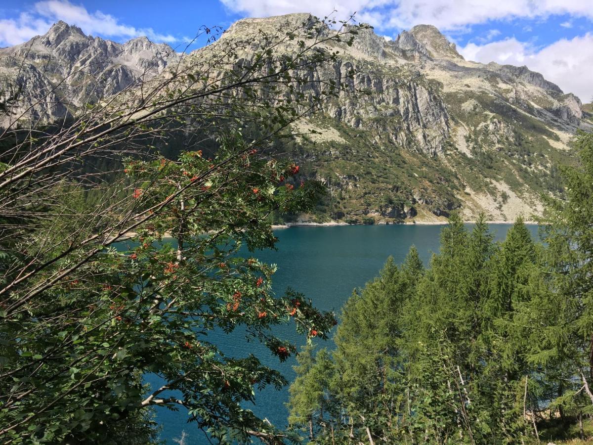 Giuditta Freecarpark&Garden Domodossola Zewnętrze zdjęcie