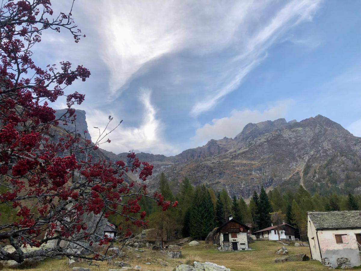 Giuditta Freecarpark&Garden Domodossola Zewnętrze zdjęcie