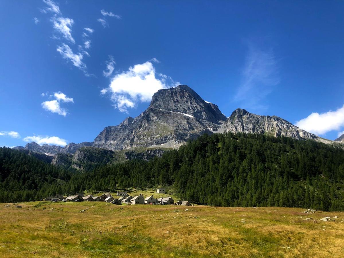 Giuditta Freecarpark&Garden Domodossola Zewnętrze zdjęcie
