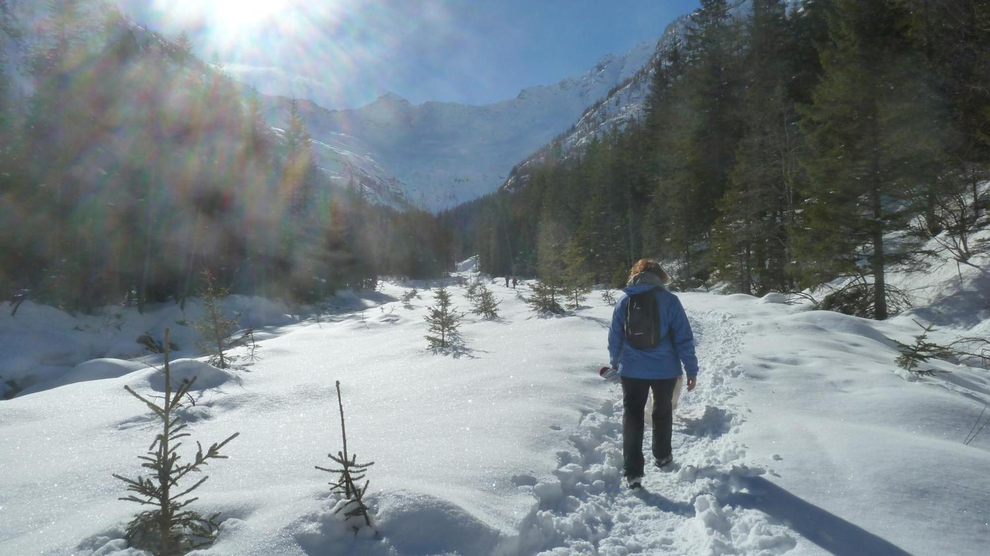 Giuditta Freecarpark&Garden Domodossola Zewnętrze zdjęcie