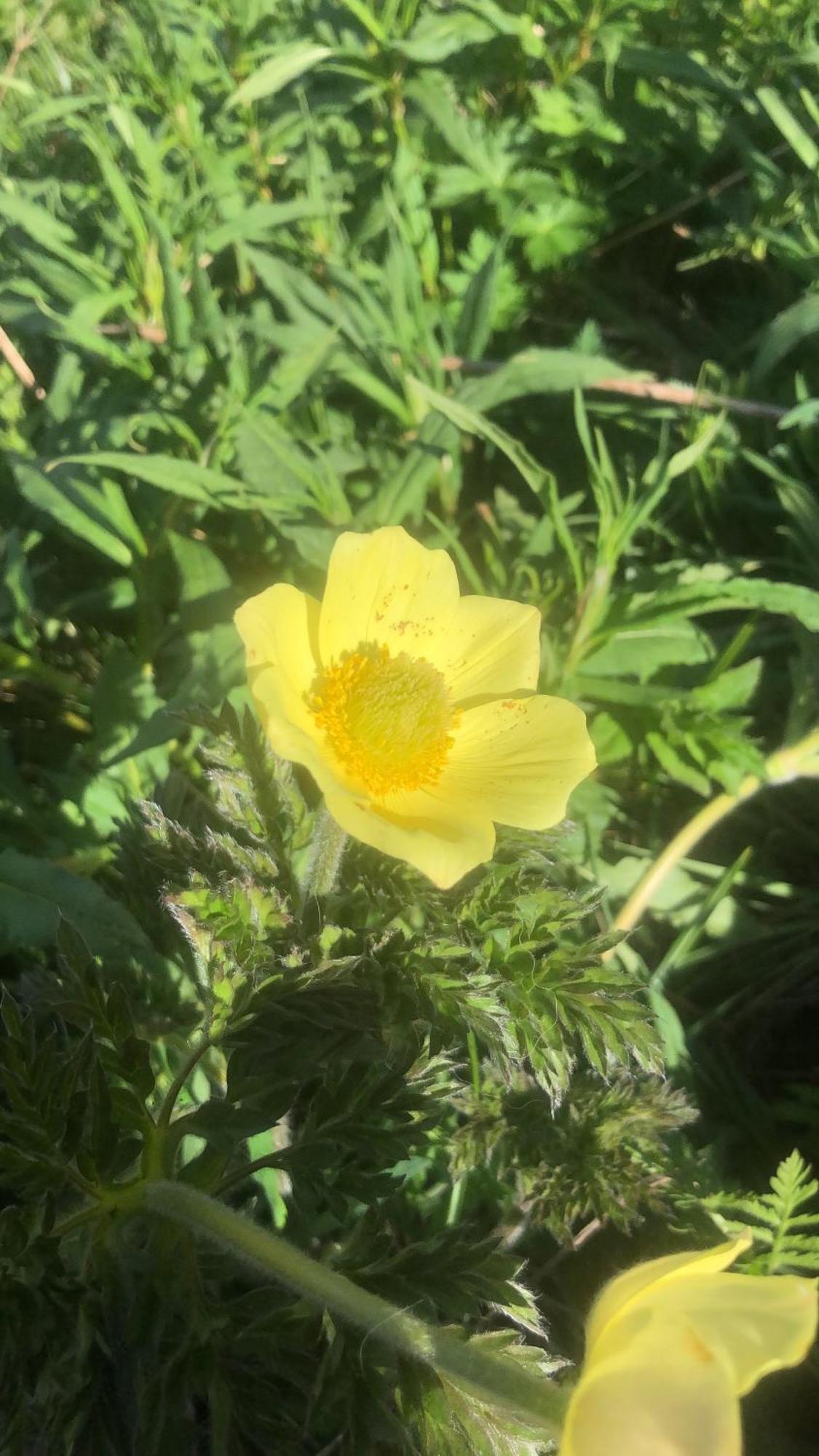 Giuditta Freecarpark&Garden Domodossola Zewnętrze zdjęcie