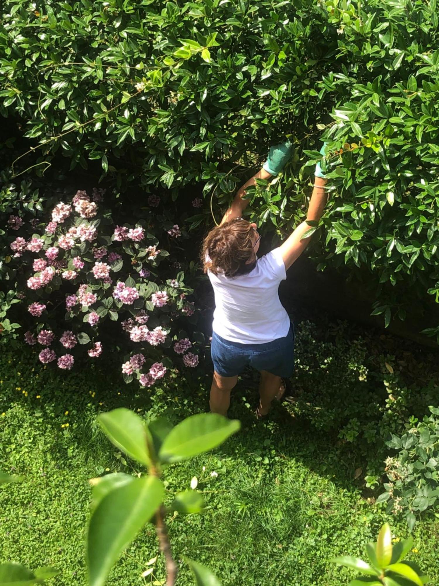 Giuditta Freecarpark&Garden Domodossola Zewnętrze zdjęcie